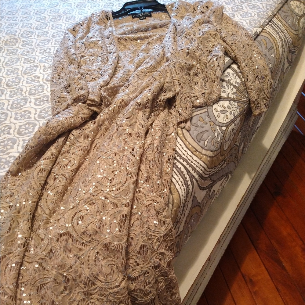 Alex Evenings Maxi Formal Lace with Sequins. Champagne Color